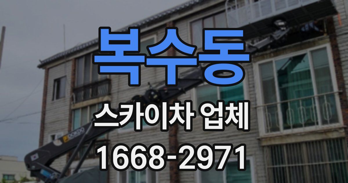 복수동 스카이차 업체