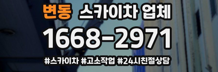 변동 스카이차 업체