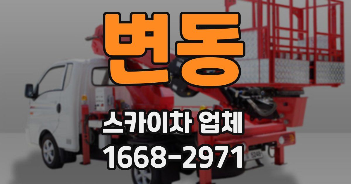 변동 스카이차 업체