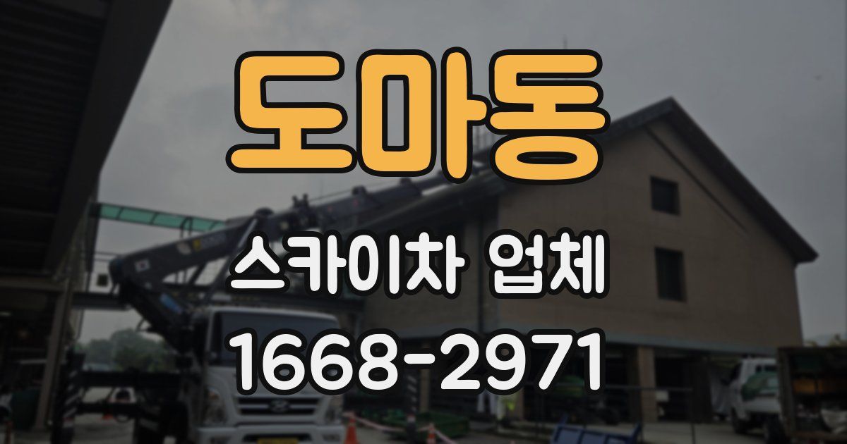 도마동 스카이차 업체