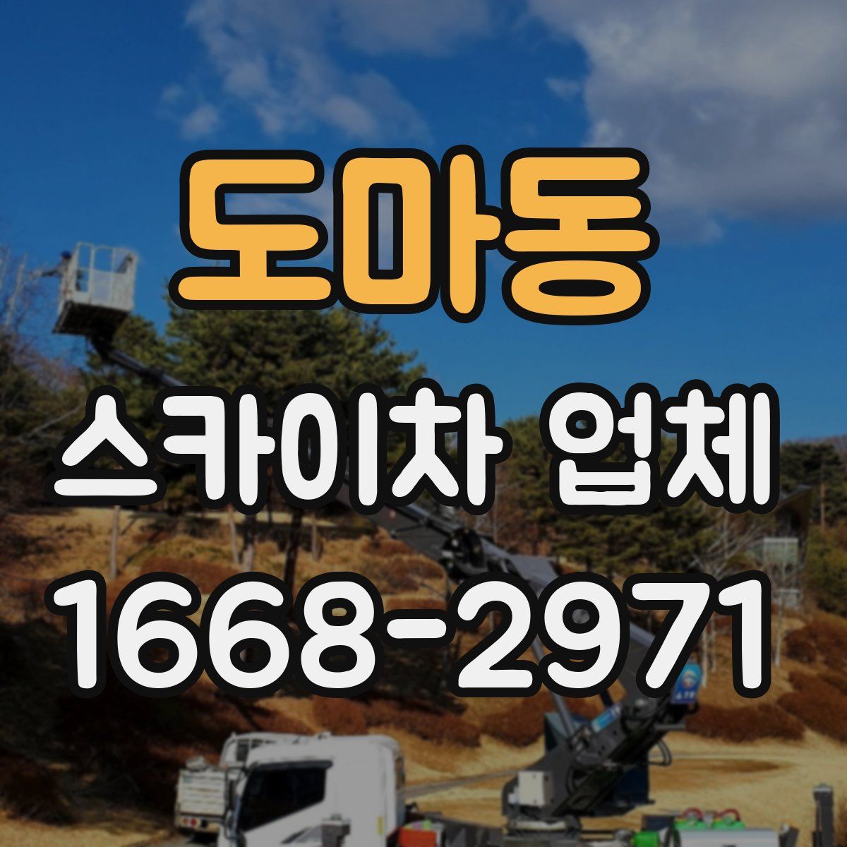 도마동 스카이차 업체