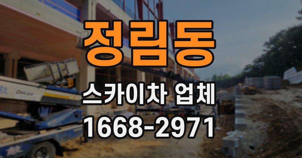 정림동 스카이차 업체