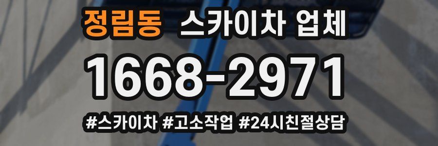 정림동 스카이차 업체