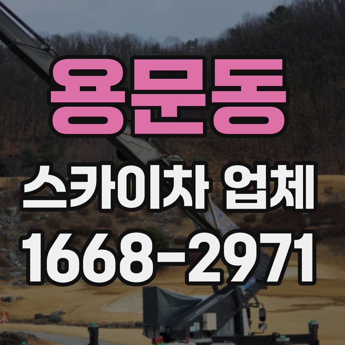 용문동 스카이차 업체