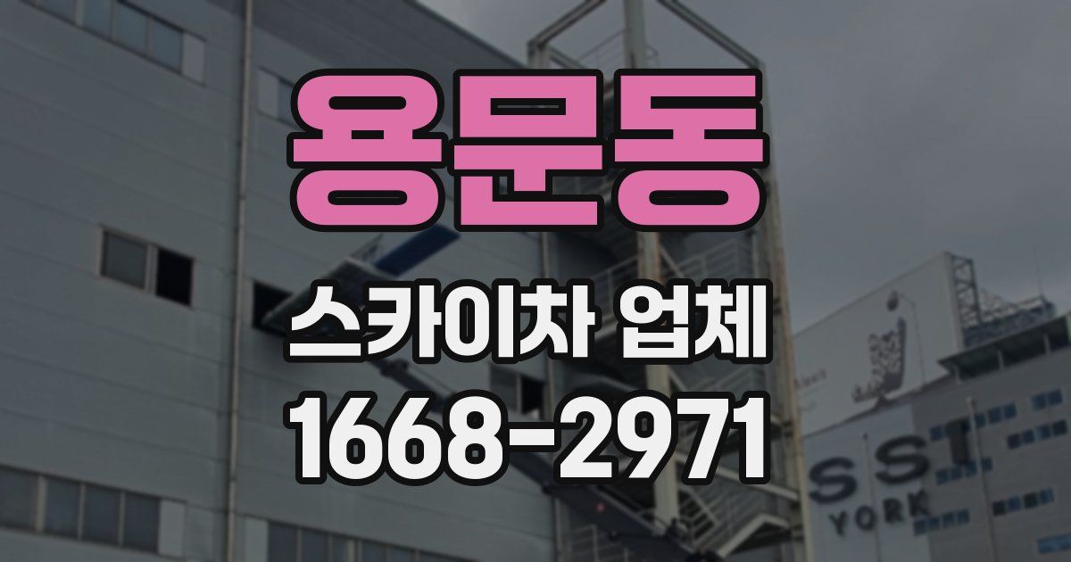 용문동 스카이차 업체