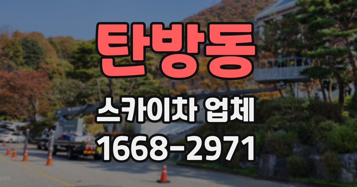 탄방동 스카이차 업체
