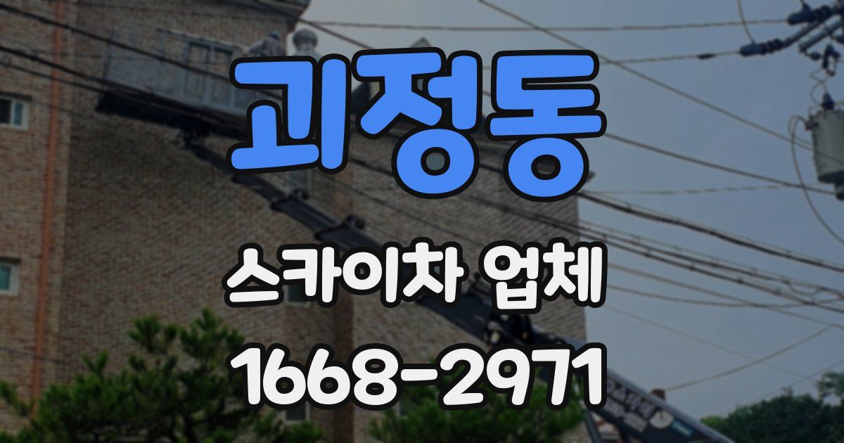 괴정동 스카이차 업체