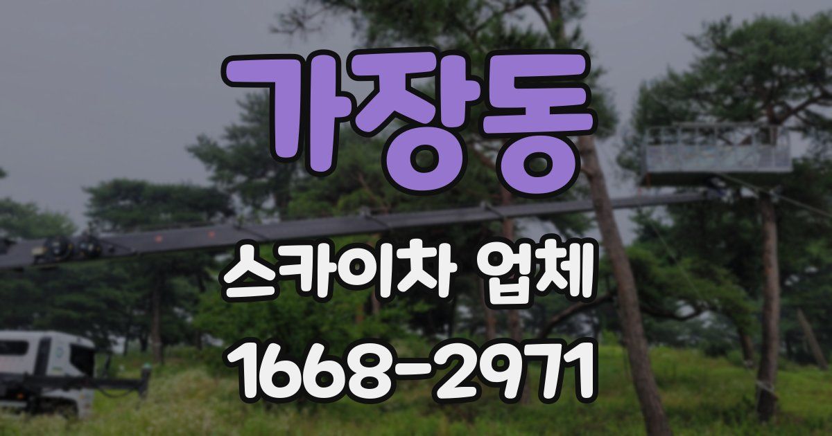 가장동 스카이차 업체