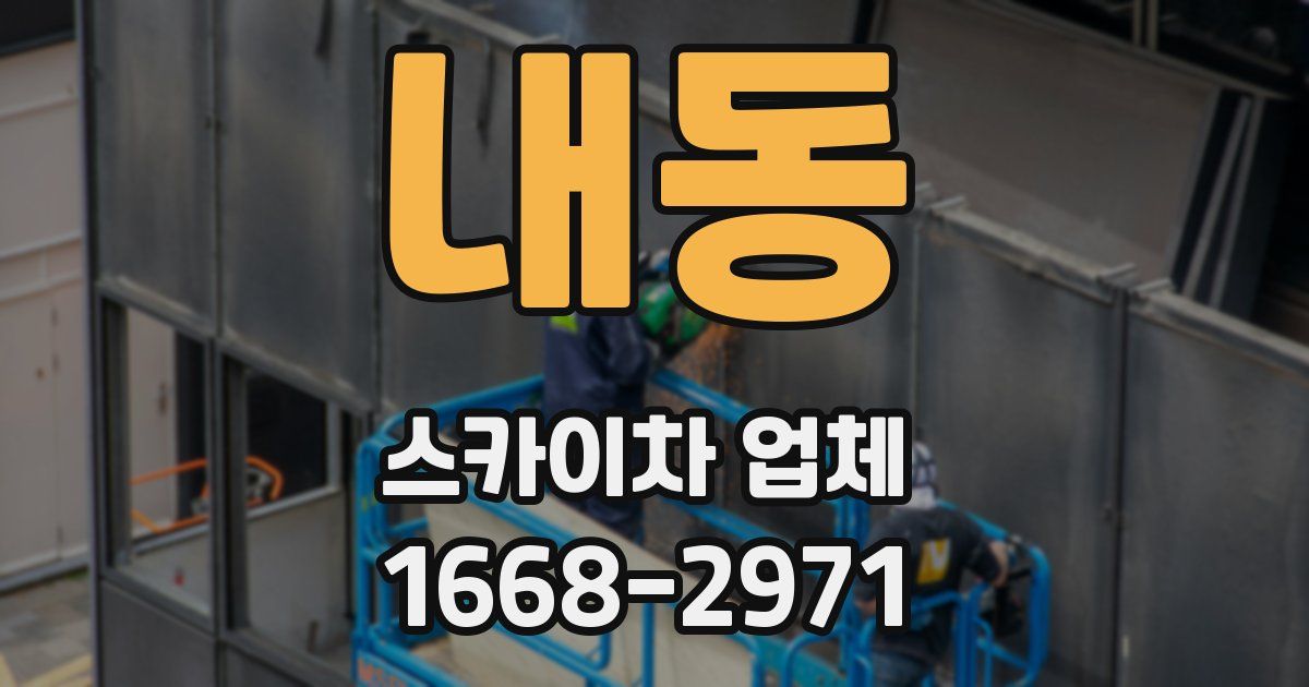 내동 스카이차 업체