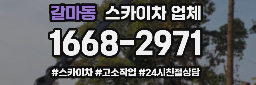 갈마동 스카이차 업체