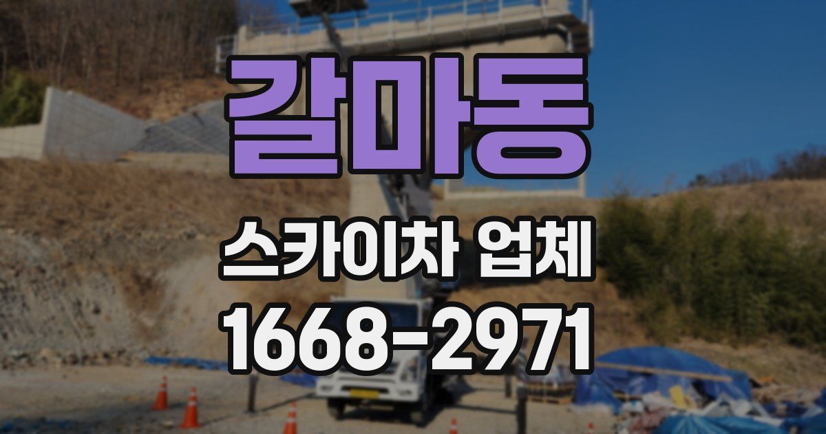 갈마동 스카이차 업체