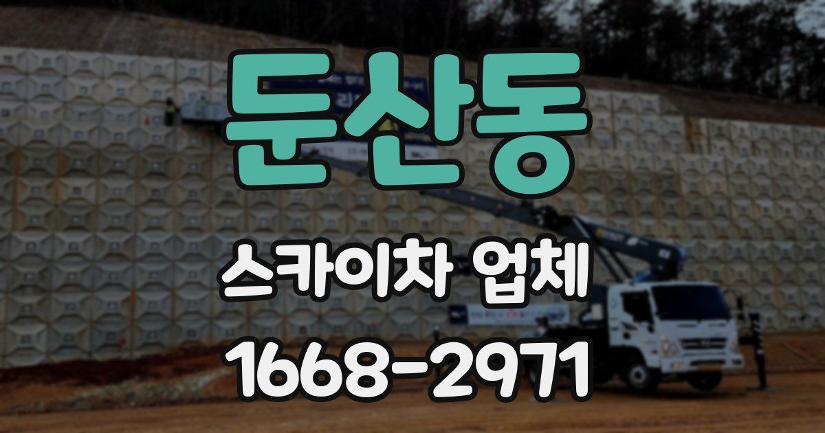 둔산동 스카이차 업체