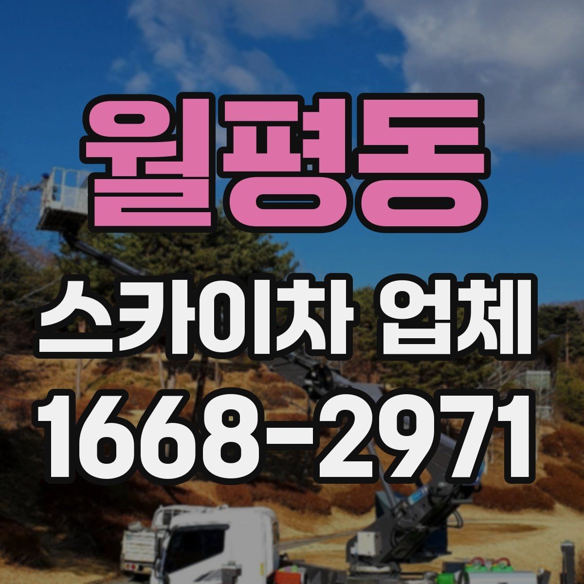 월평동 스카이차 업체 작업 범위와 장비 종류