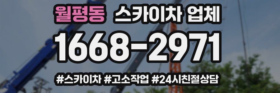 월평동 스카이차 업체