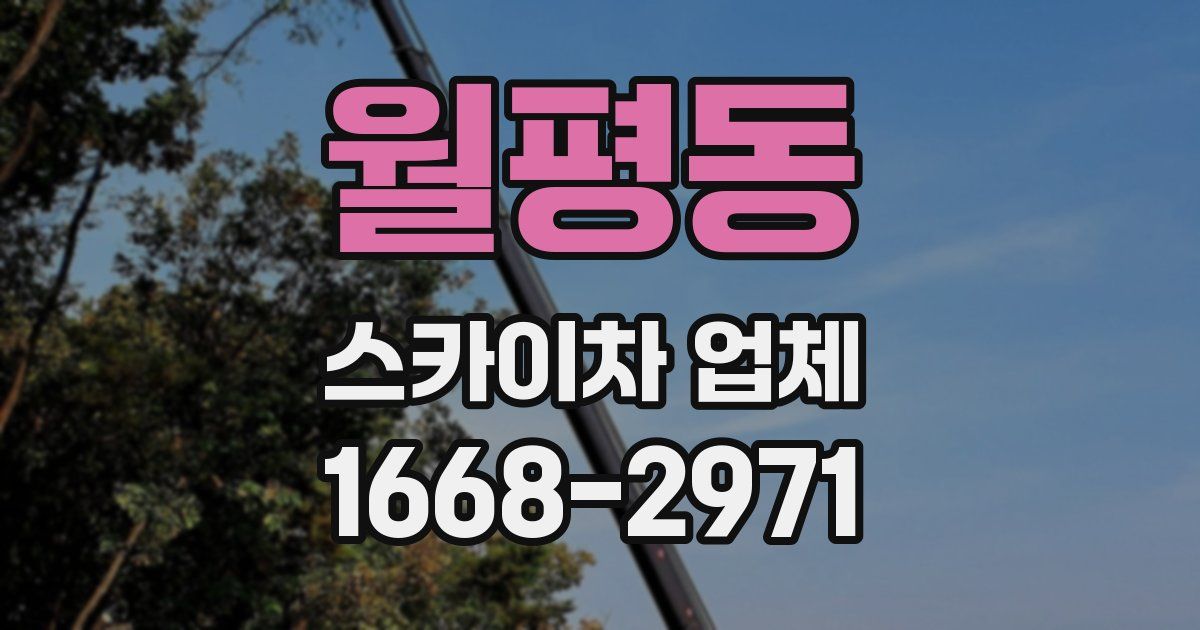 월평동 스카이차 업체