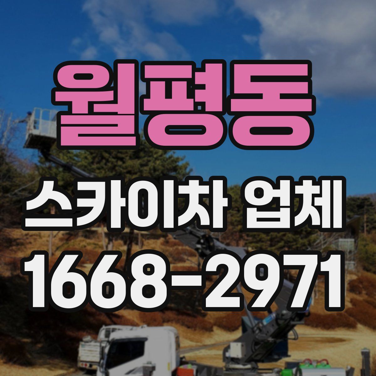 월평동 스카이차 업체