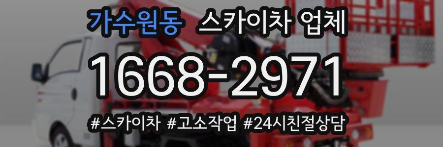 가수원동 스카이차 업체
