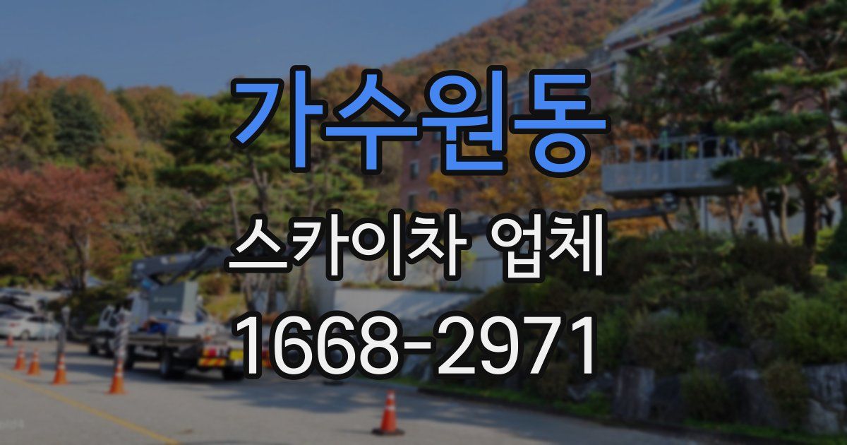 가수원동 스카이차 업체