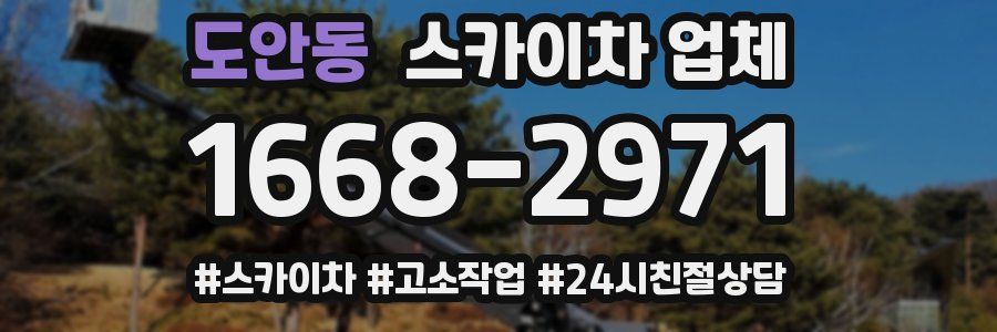 도안동 스카이차 업체