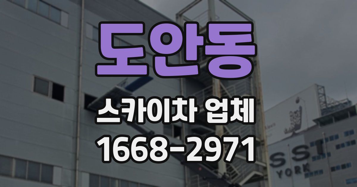 도안동 스카이차 업체