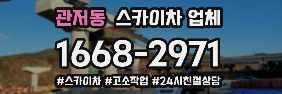관저동 스카이차 업체