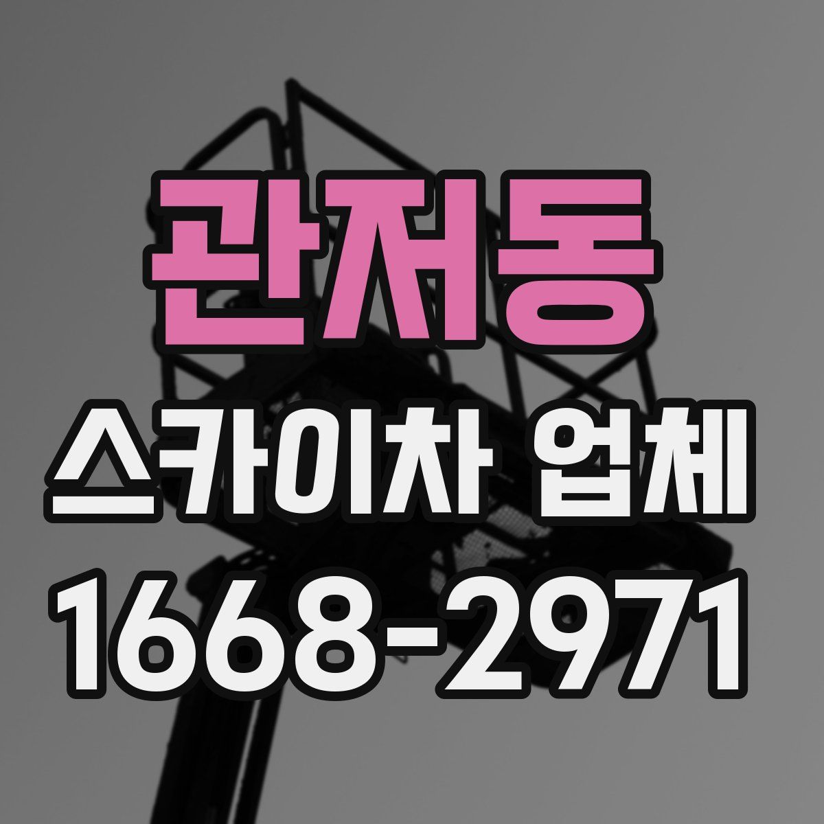 관저동 스카이차 업체