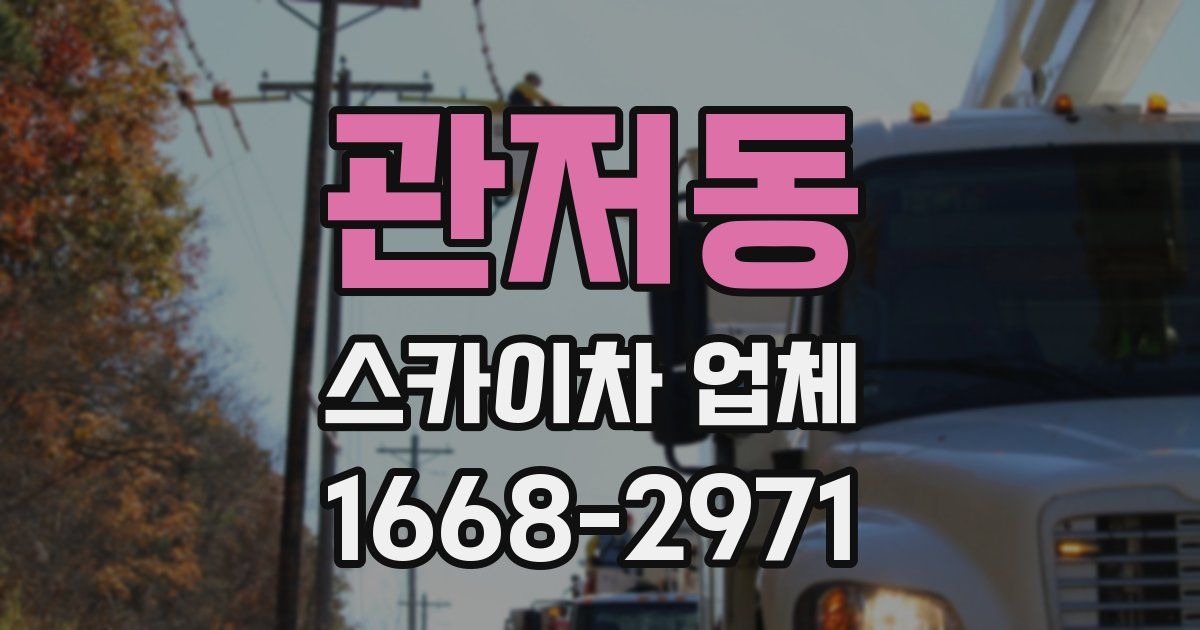 관저동 스카이차 업체