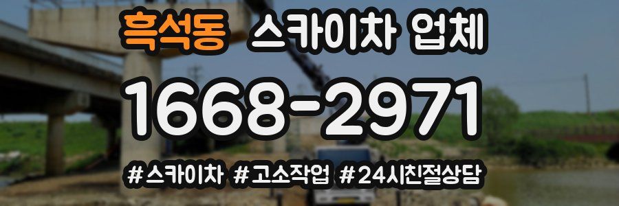 흑석동 스카이차 업체