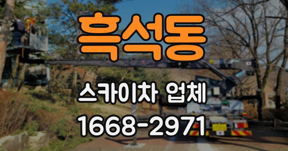 흑석동 스카이차 업체
