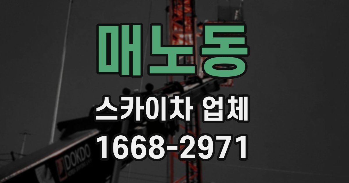 매노동 스카이차 업체