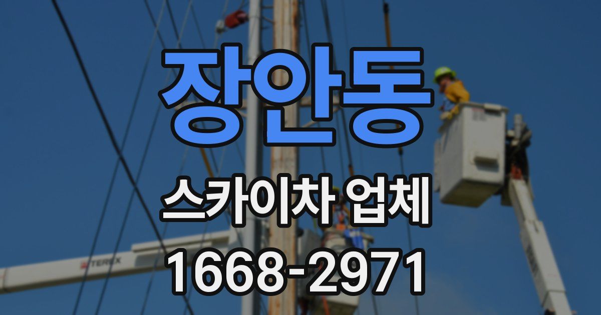 장안동 스카이차 업체