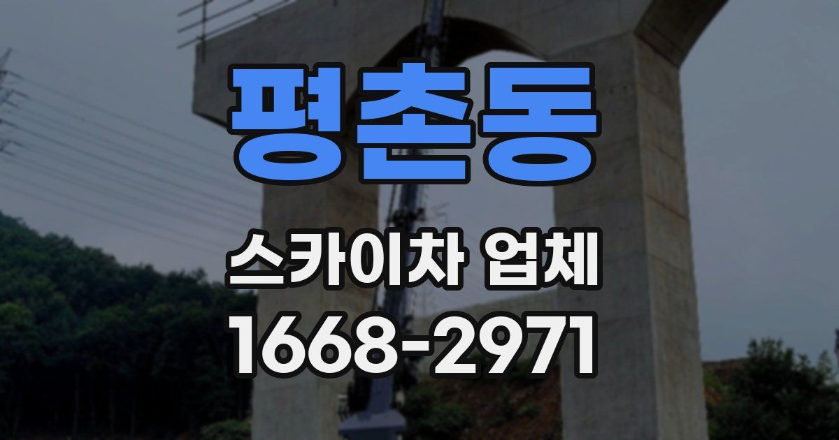평촌동 스카이차 업체