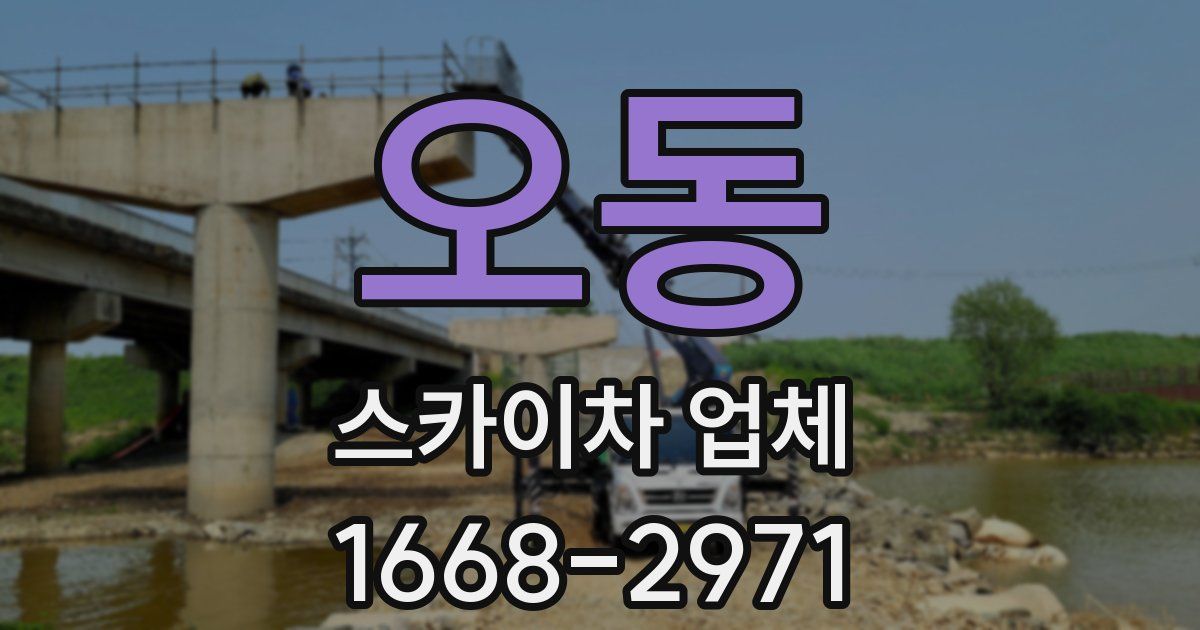 오동 스카이차 업체