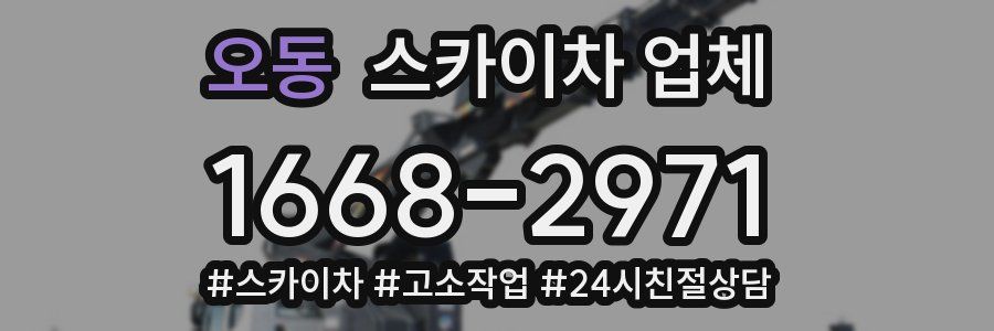 오동 스카이차 업체