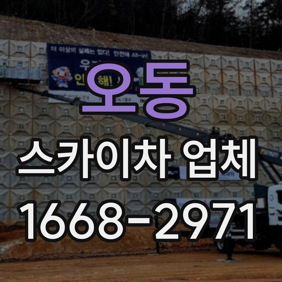 오동 스카이차 업체