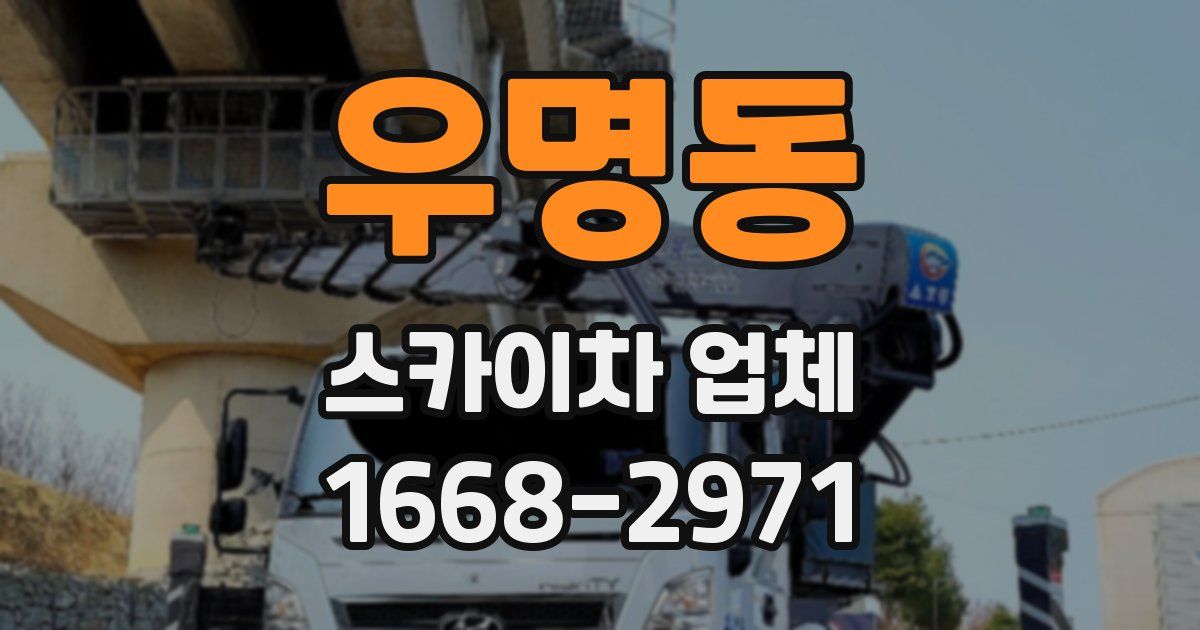 우명동 스카이차 업체