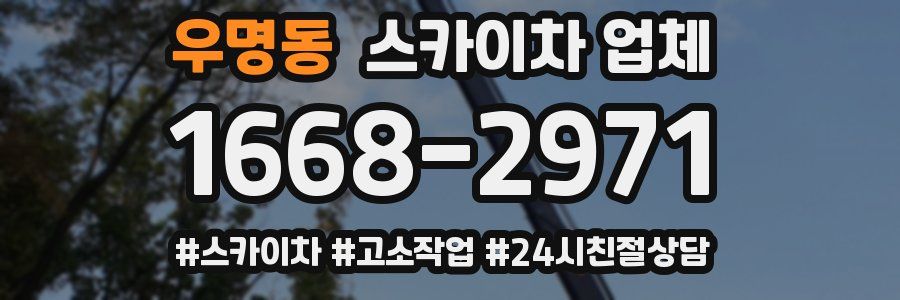 우명동 스카이차 업체