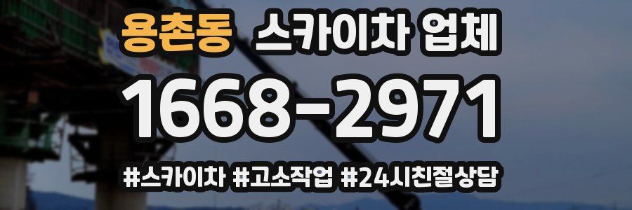 용촌동 스카이차 업체