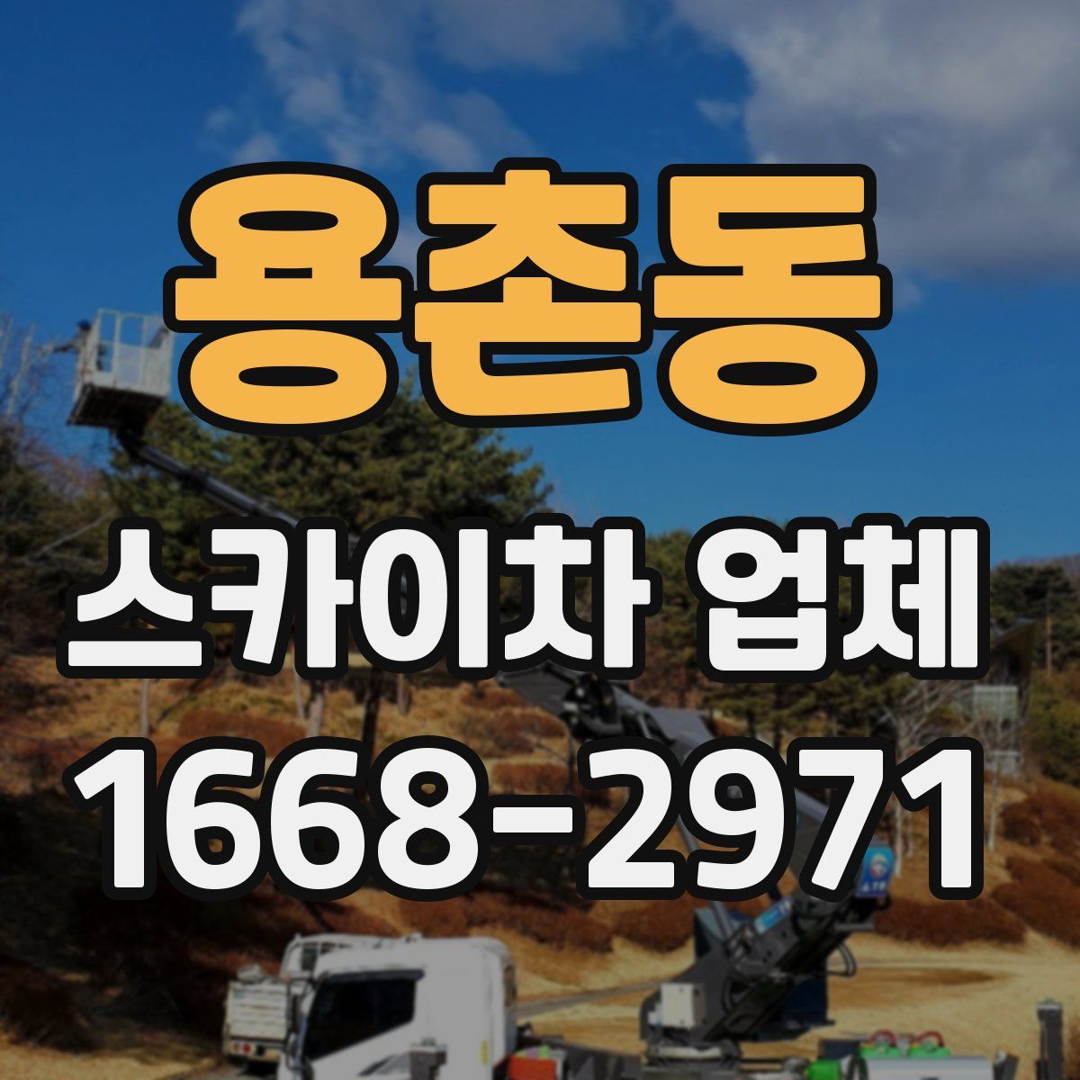 용촌동 스카이차 업체