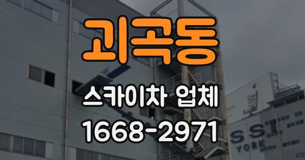 괴곡동 스카이차 업체