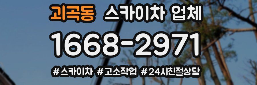 괴곡동 스카이차 업체