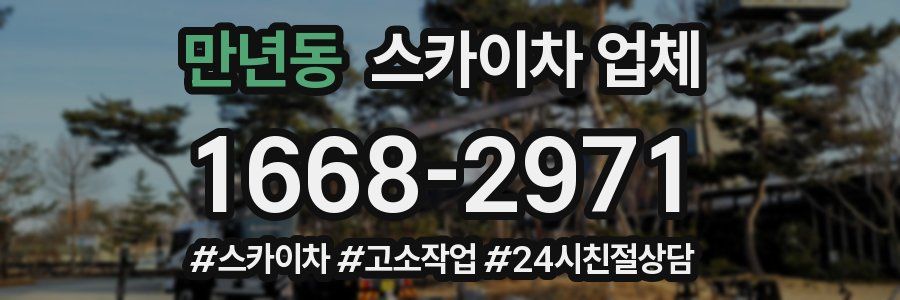 만년동 스카이차 업체