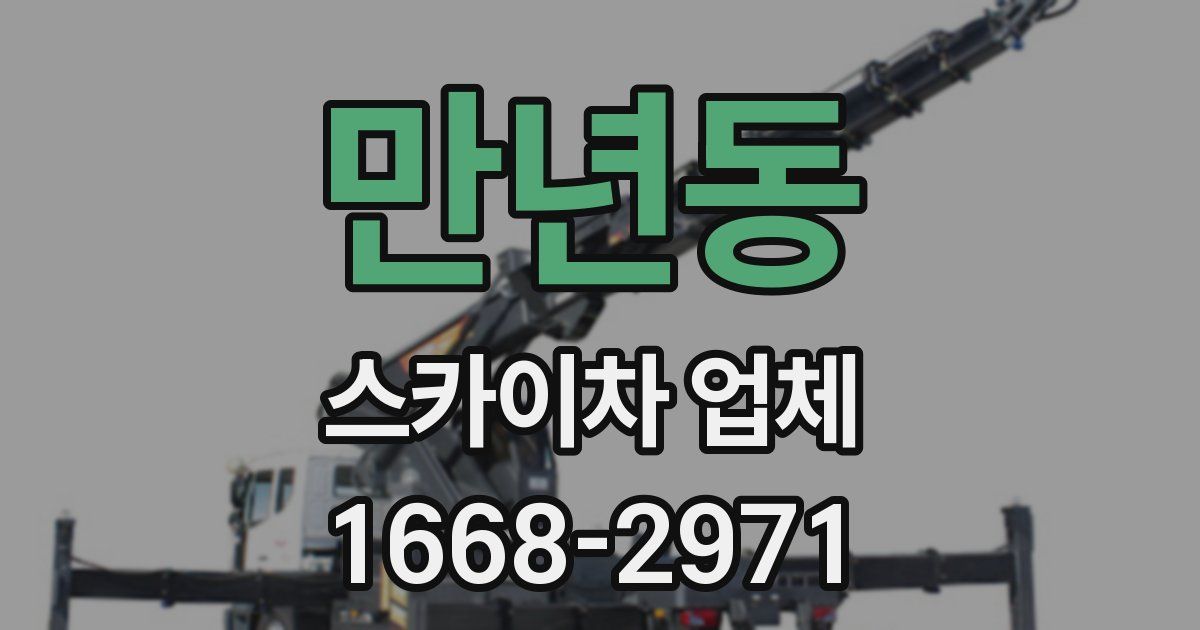 만년동 스카이차 업체