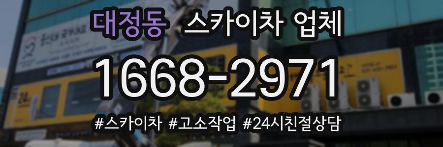 대정동 스카이차 업체