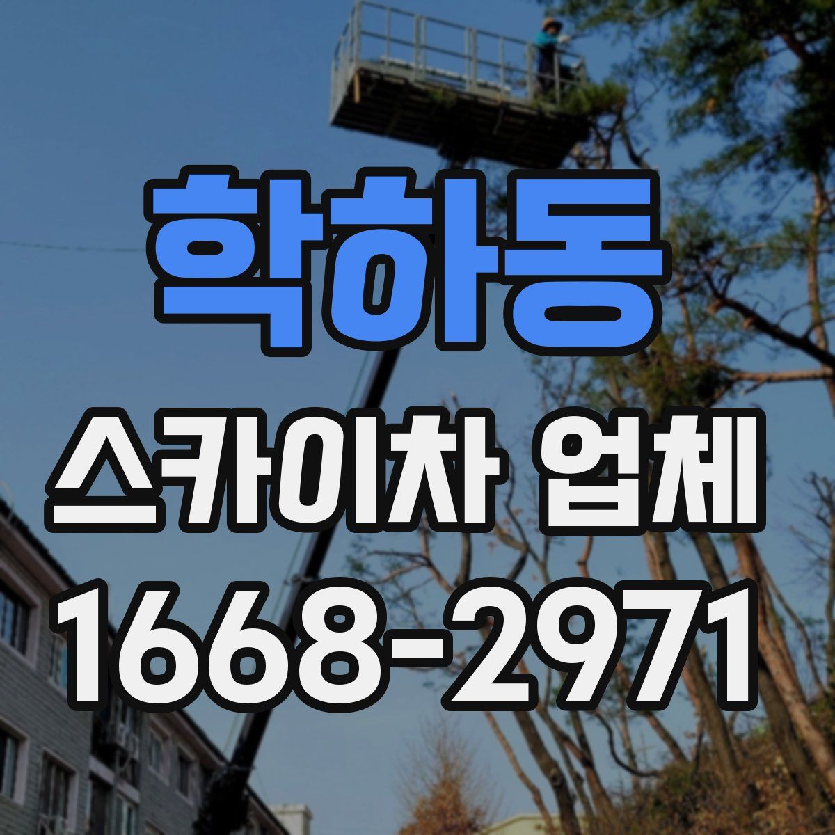 학하동 스카이차 업체