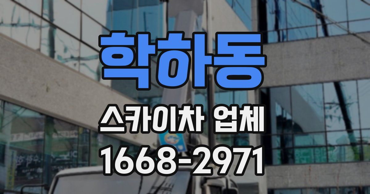 학하동 스카이차 업체