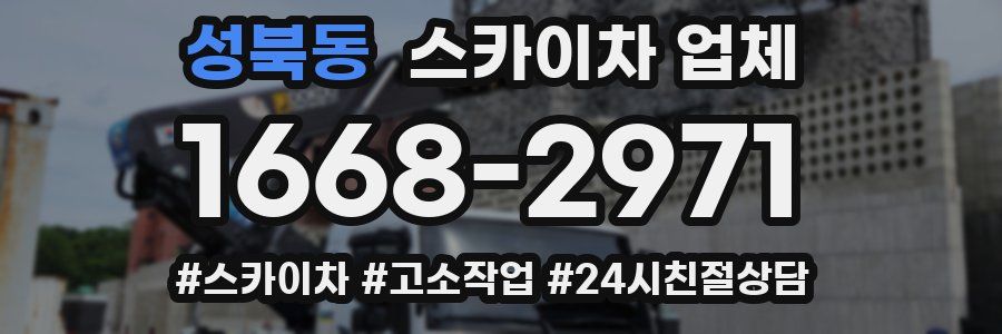 성북동 스카이차 업체
