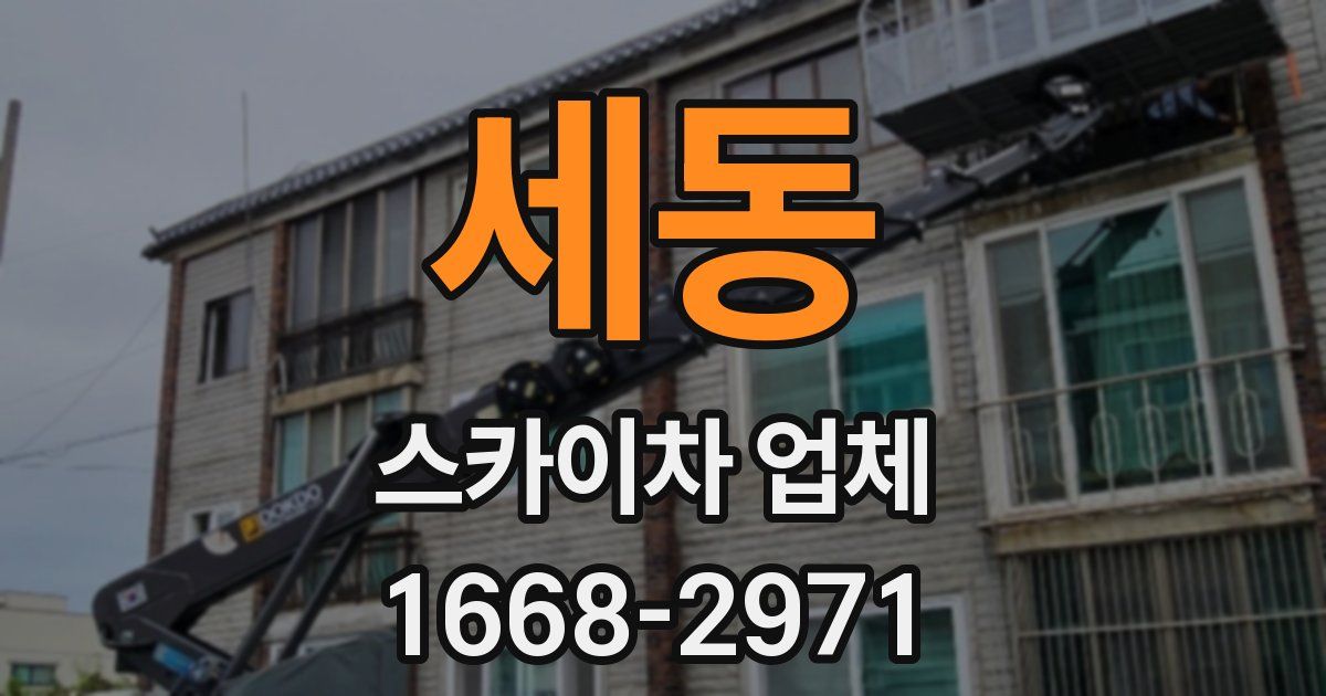 세동 스카이차 업체