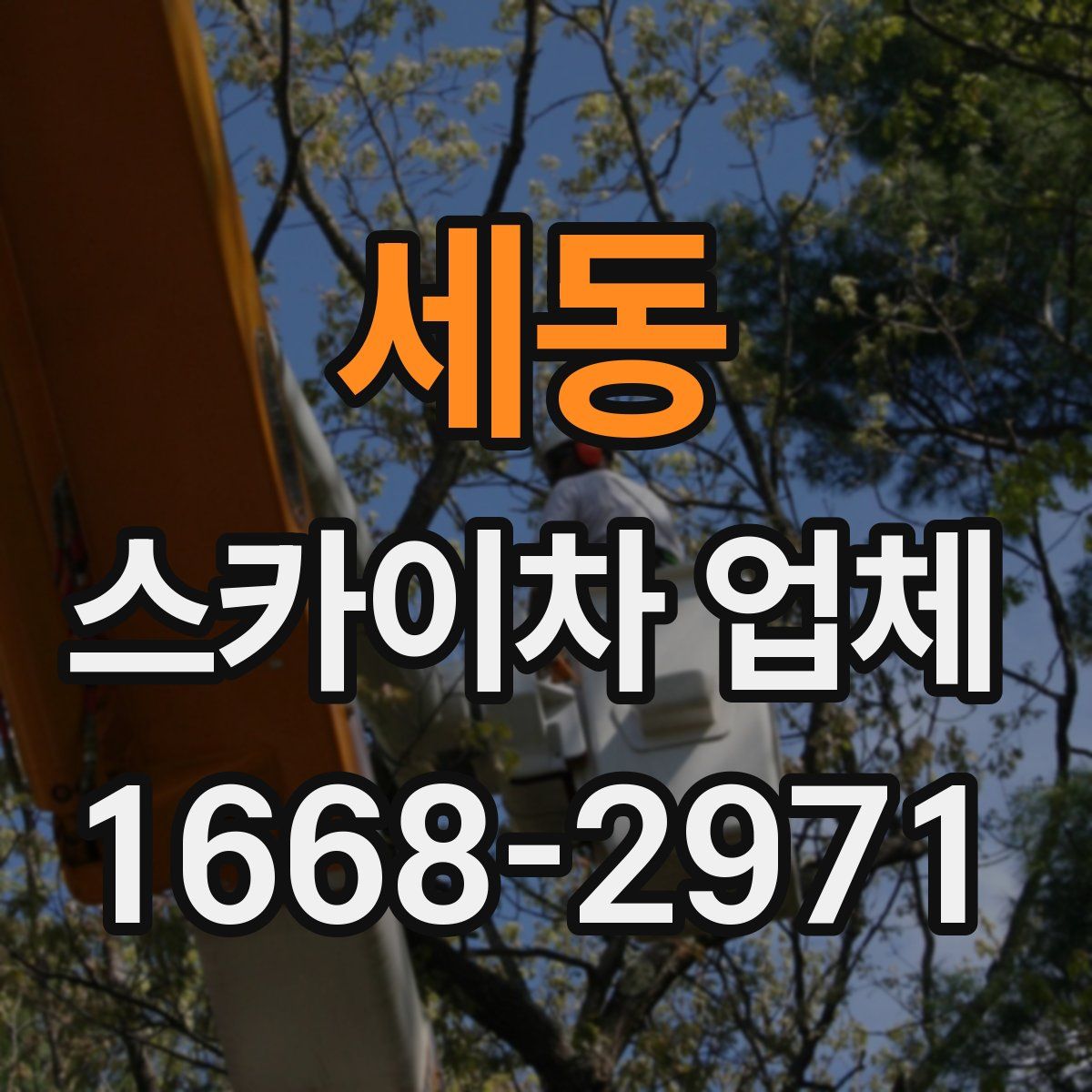 세동 스카이차 업체