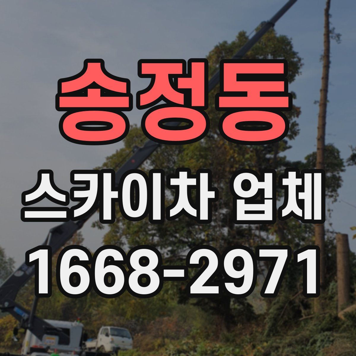 송정동 스카이차 업체